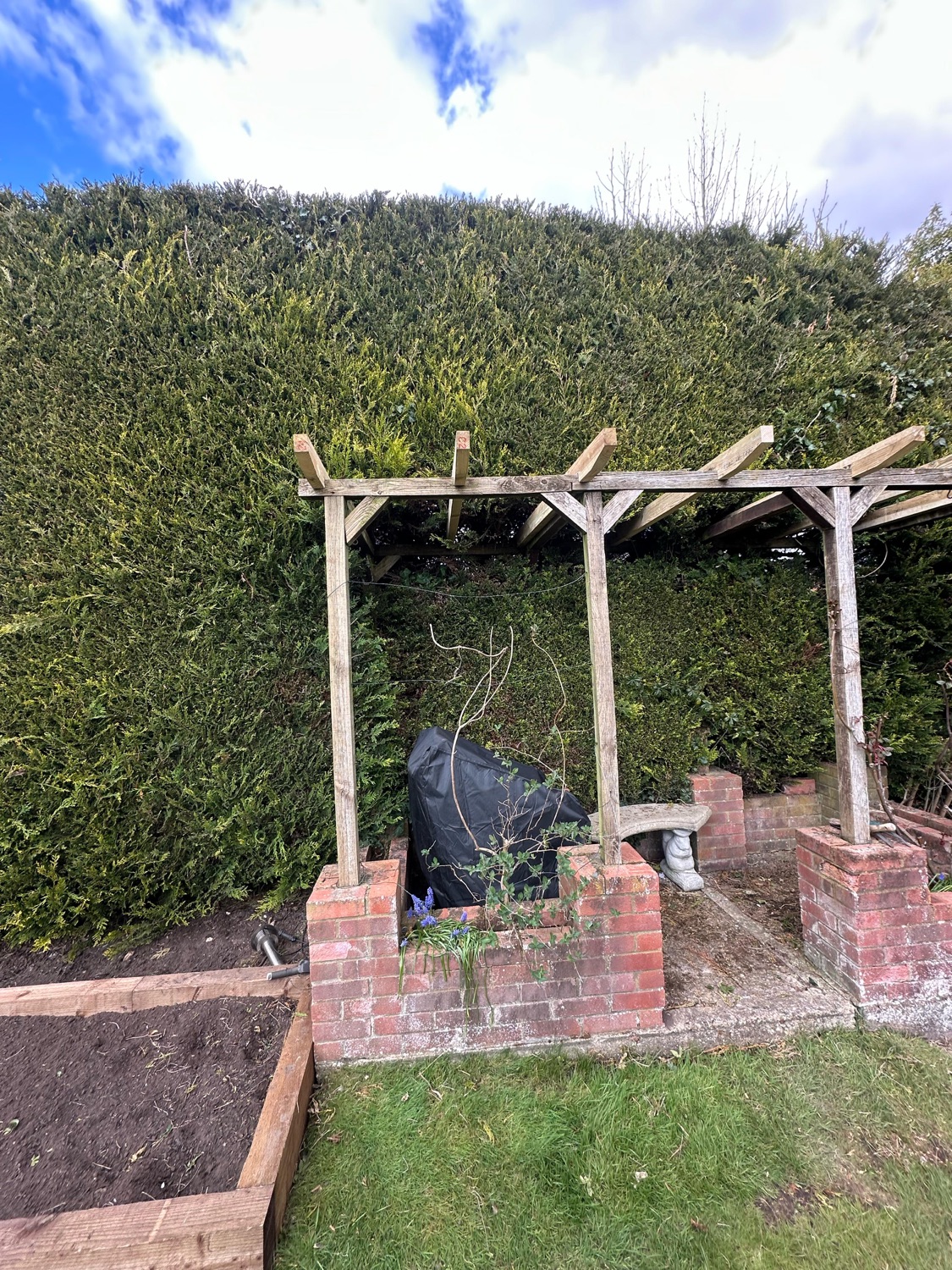 Spelthorne Landscape & Garden Maintenance work photo 4