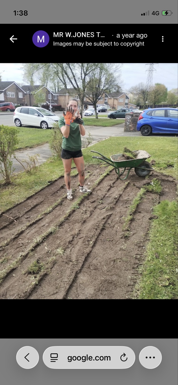 M Jones Tree & Garden Maintenance work photo 4