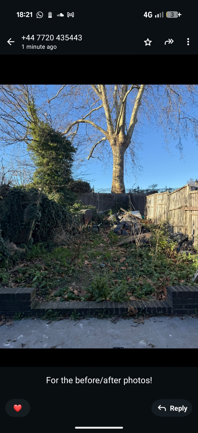 Ward Tree & Gardens work photo 2