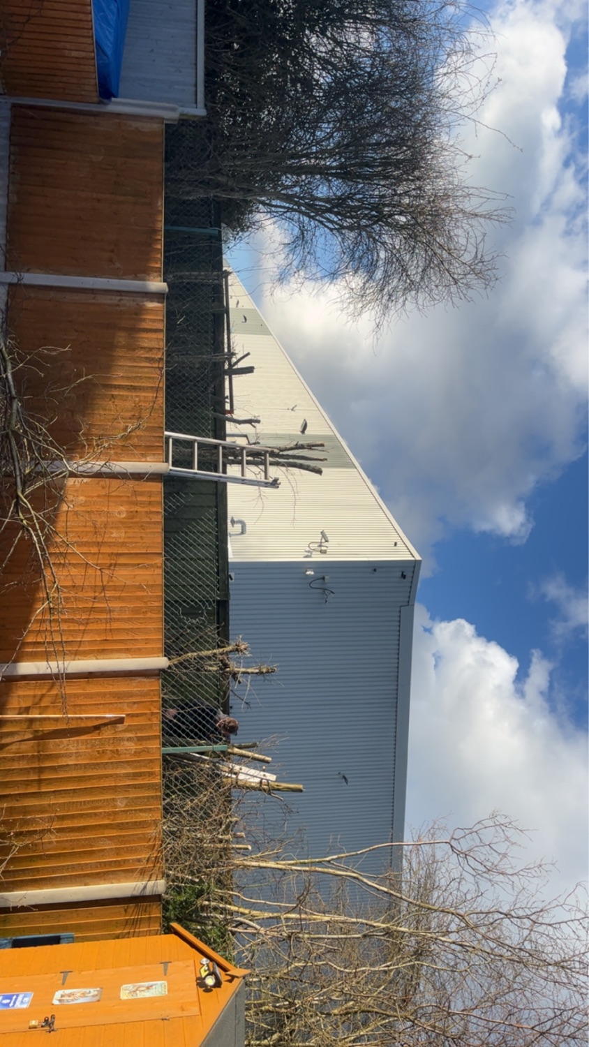 AA Property work photo 3