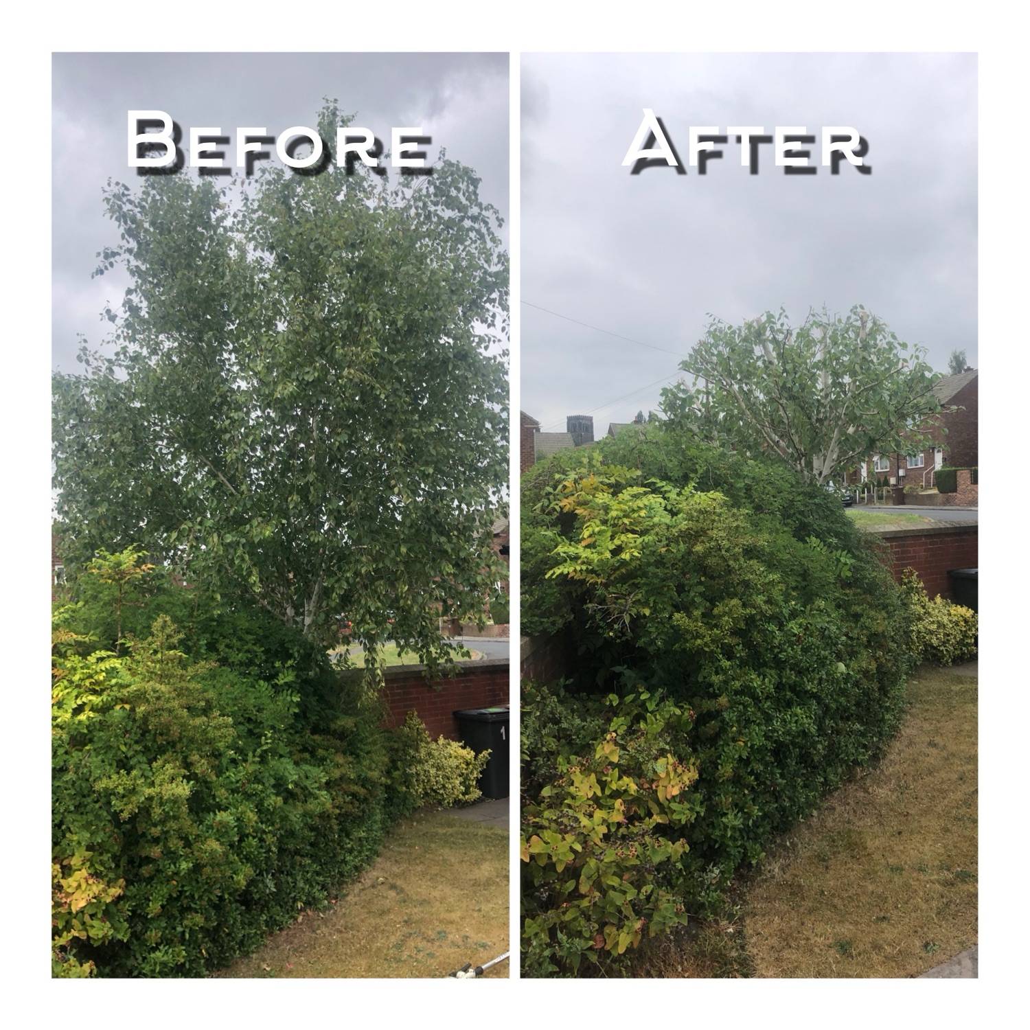 Country Cuts Gardening & Tree Care work photo 1