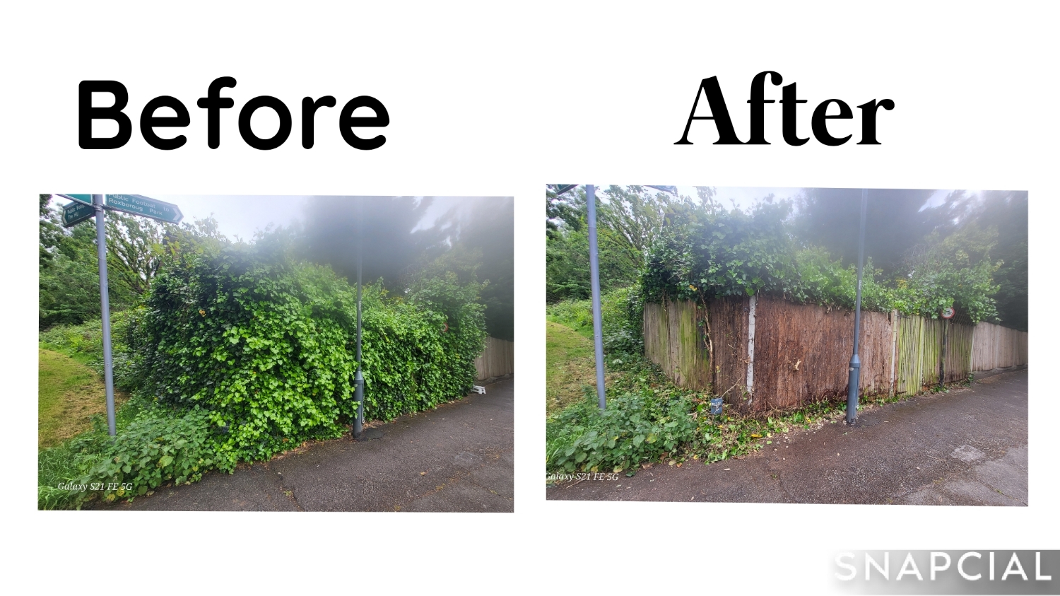 Green Landscapes work photo 4