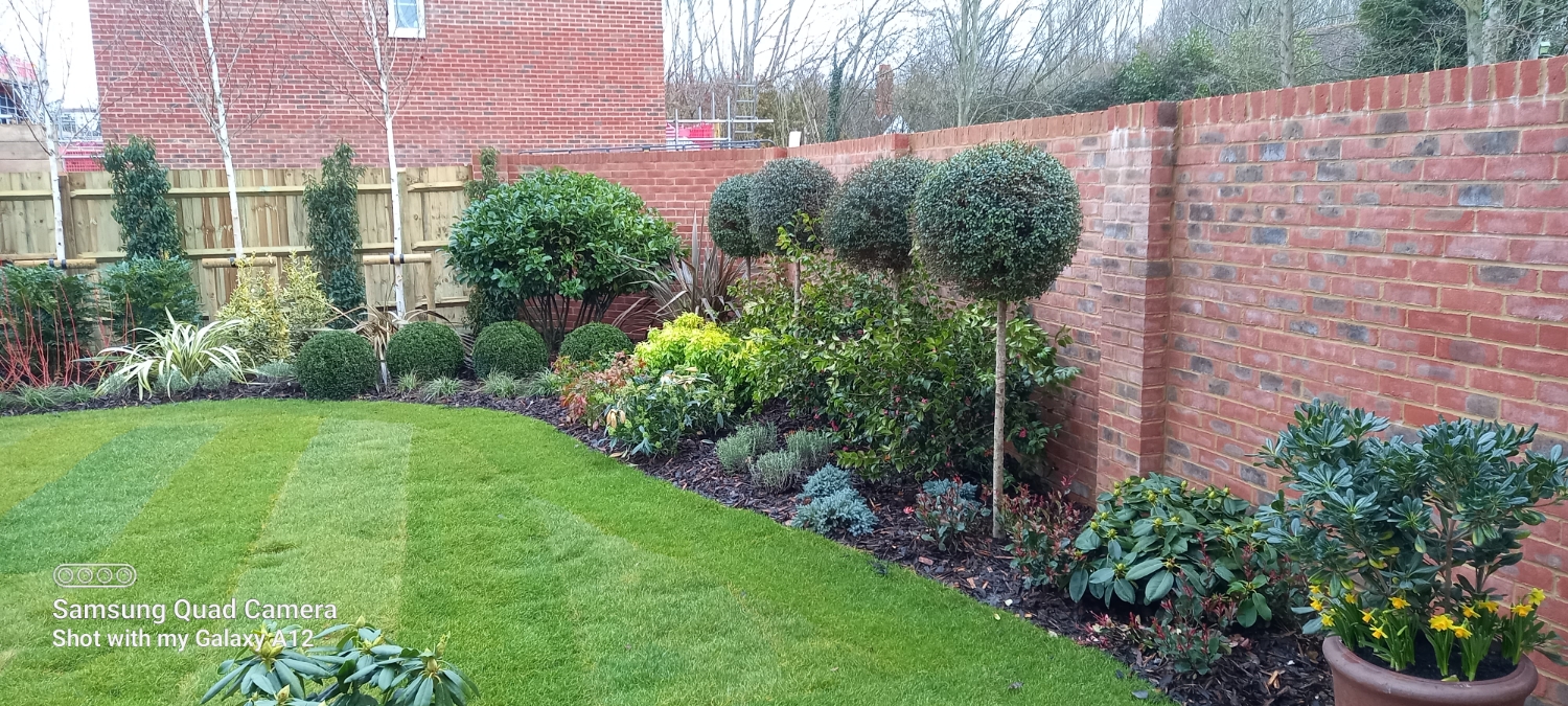 Ben's Garden Services work photo 4