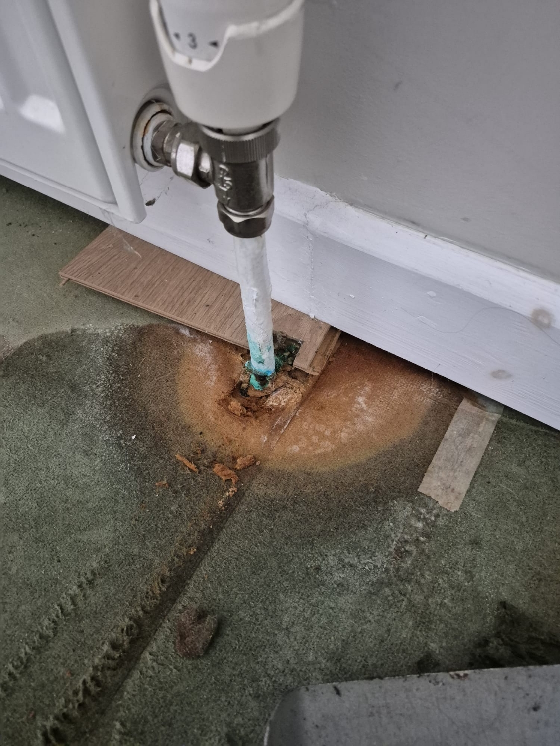 Trace Flow Services work photo 2