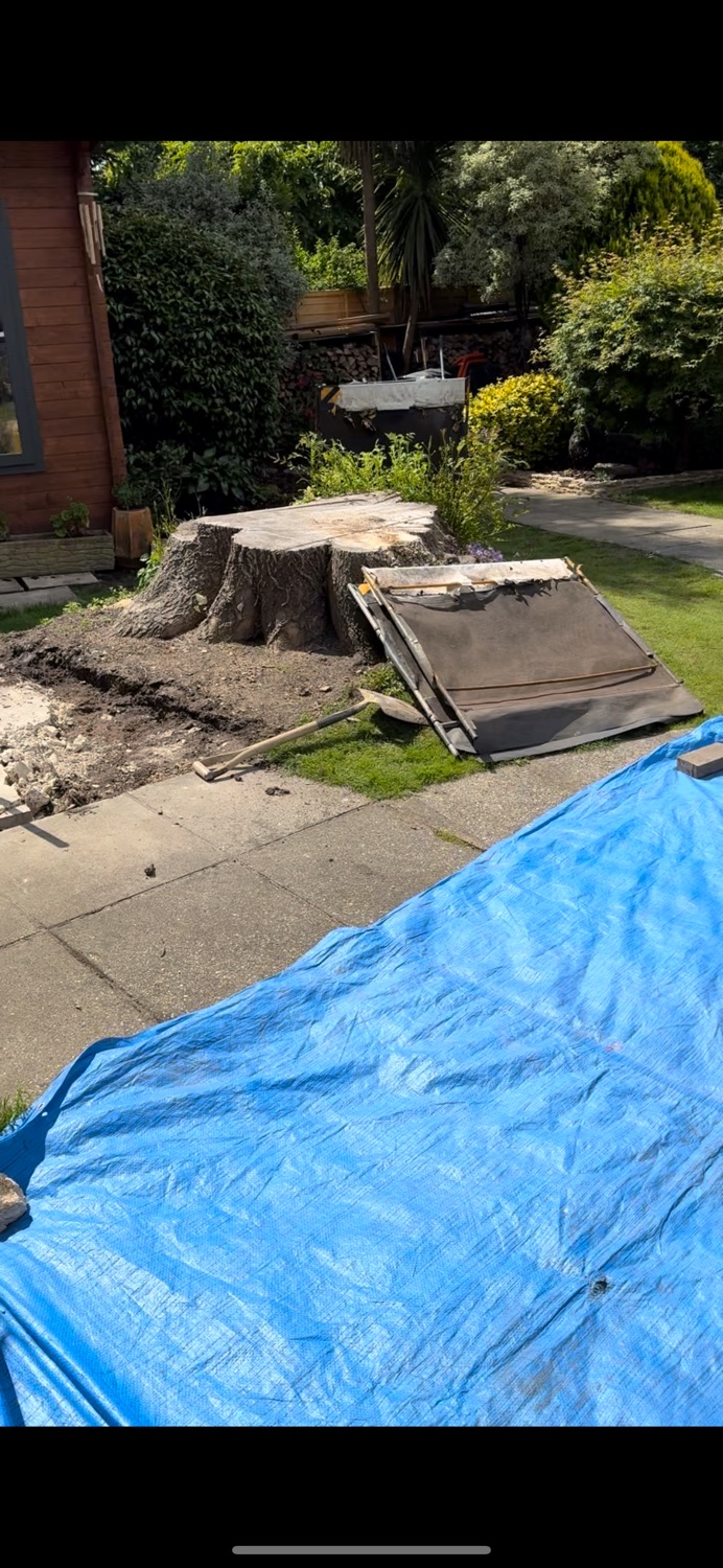 Hitec Tree & Gardening Services work photo 4