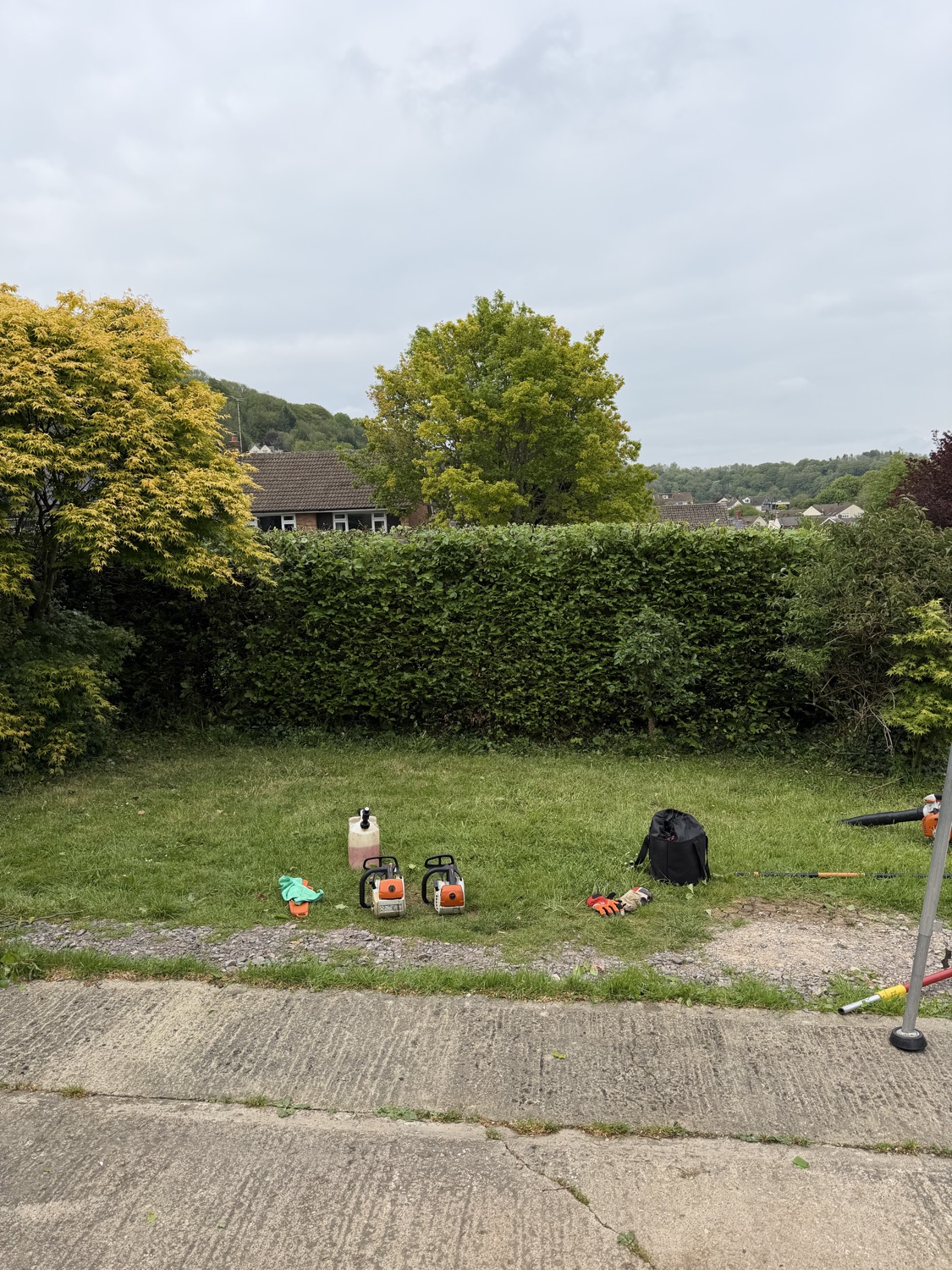 K Lee Stags Tree Specialists work photo 2