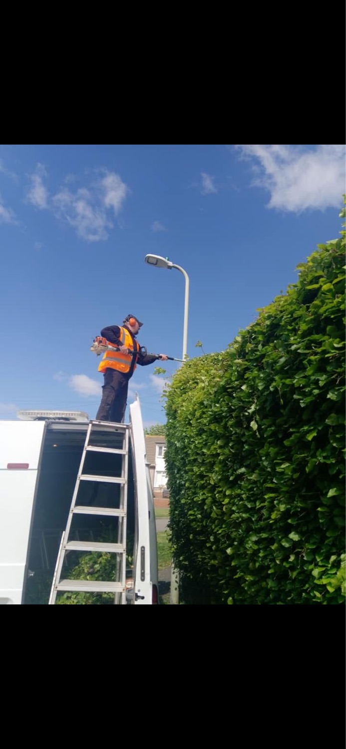 M Jones Tree & Garden Maintenance work photo 2