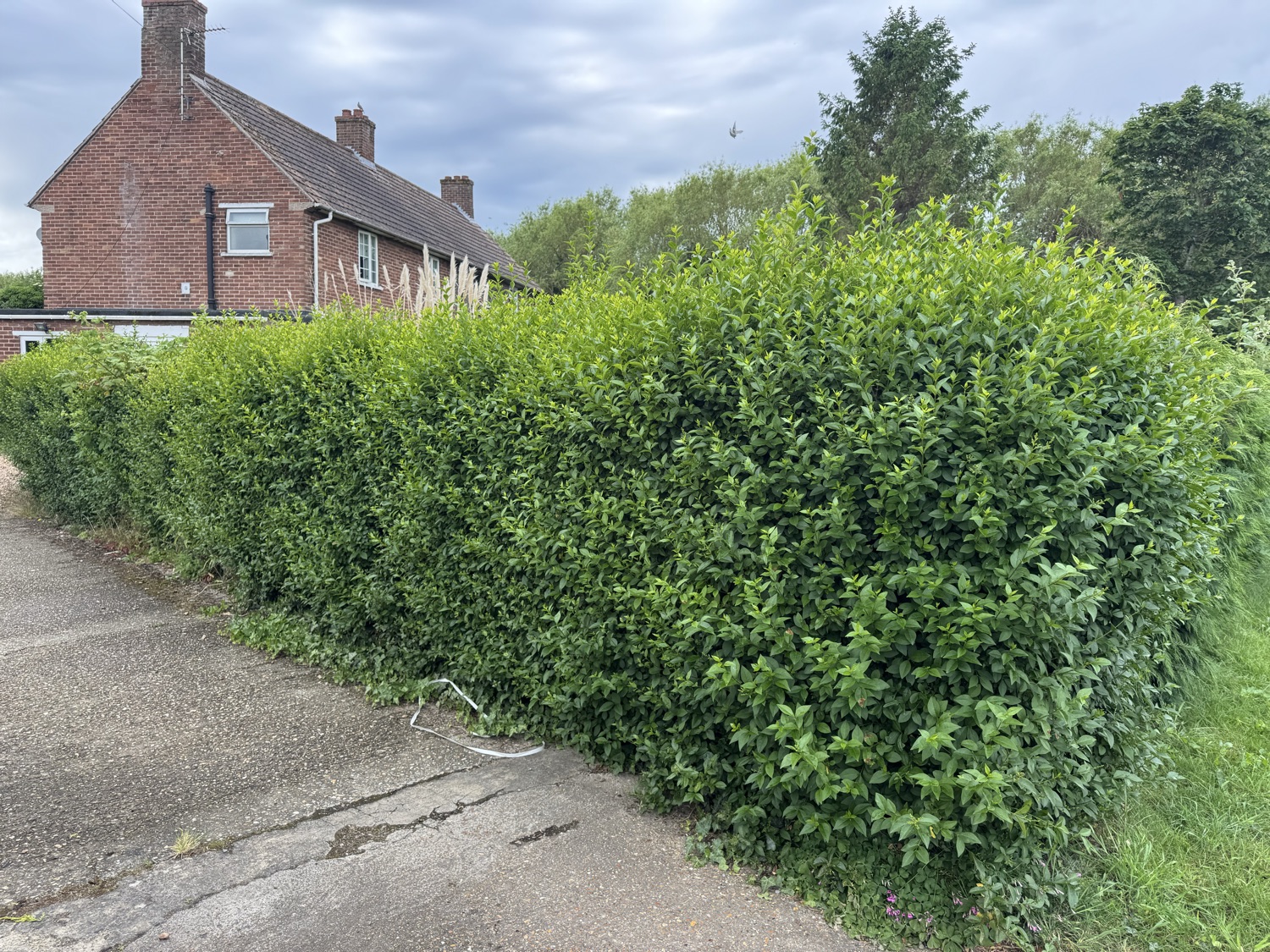 Harrison's And Son's Property Maintenance work photo 2