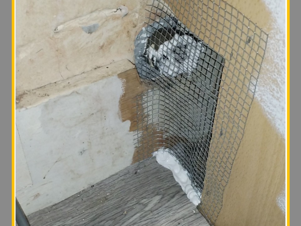 Merit Services Pest Control work photo 2