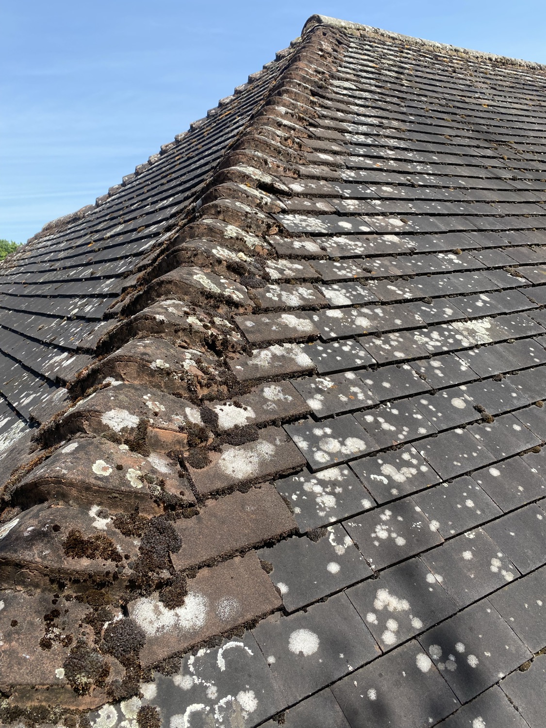 Roof Leak Roofing & Chimneys Ltd work photo 1