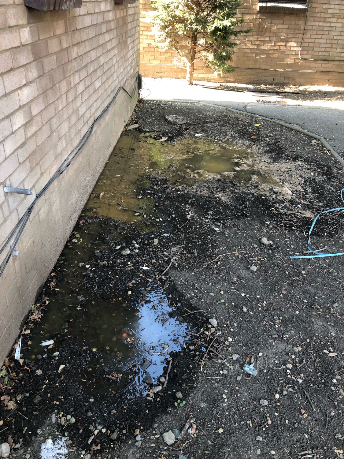 Essex Plumbing & Drainage Response work photo 3