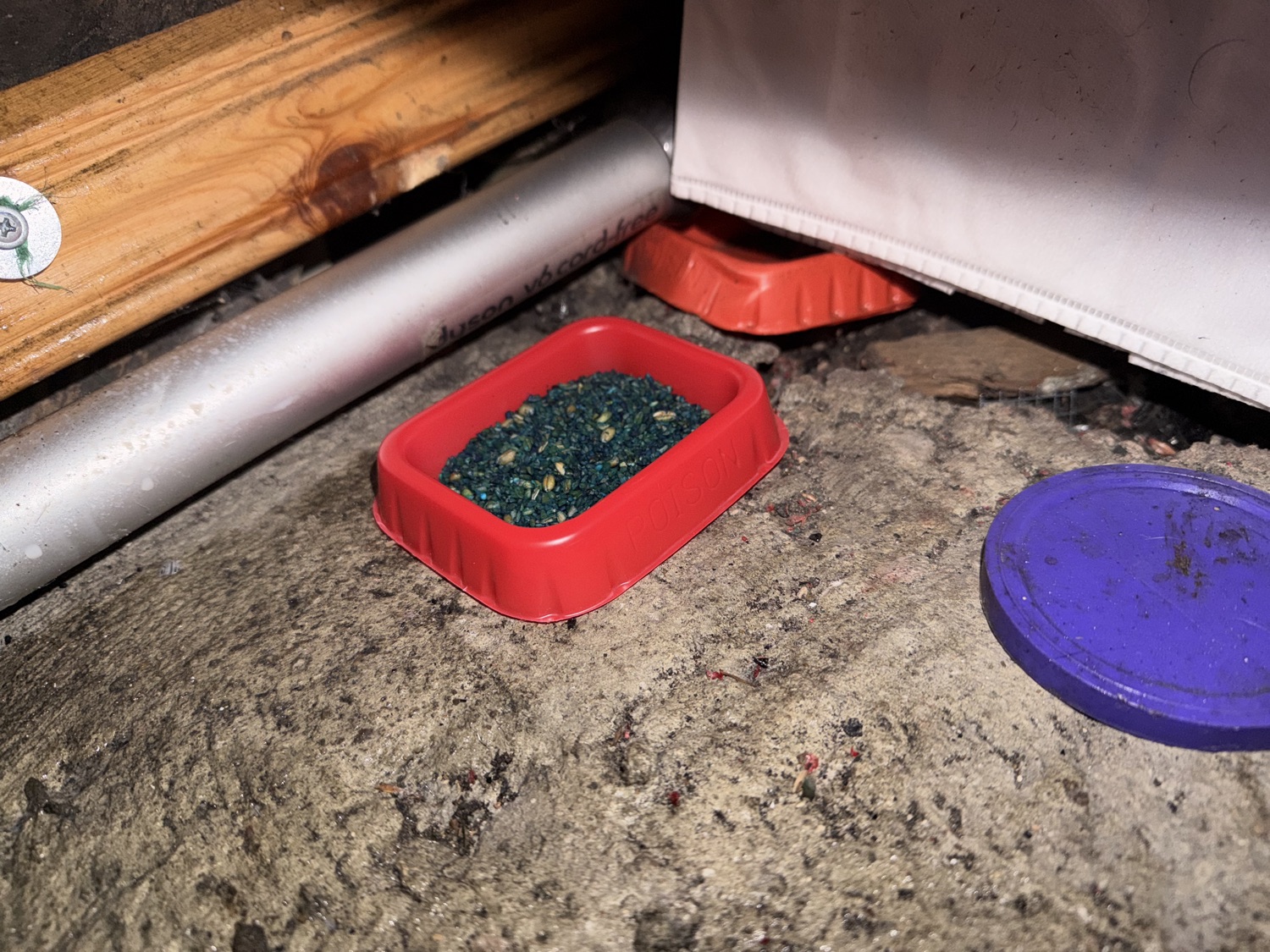 Swiftshield Pest Control work photo 3