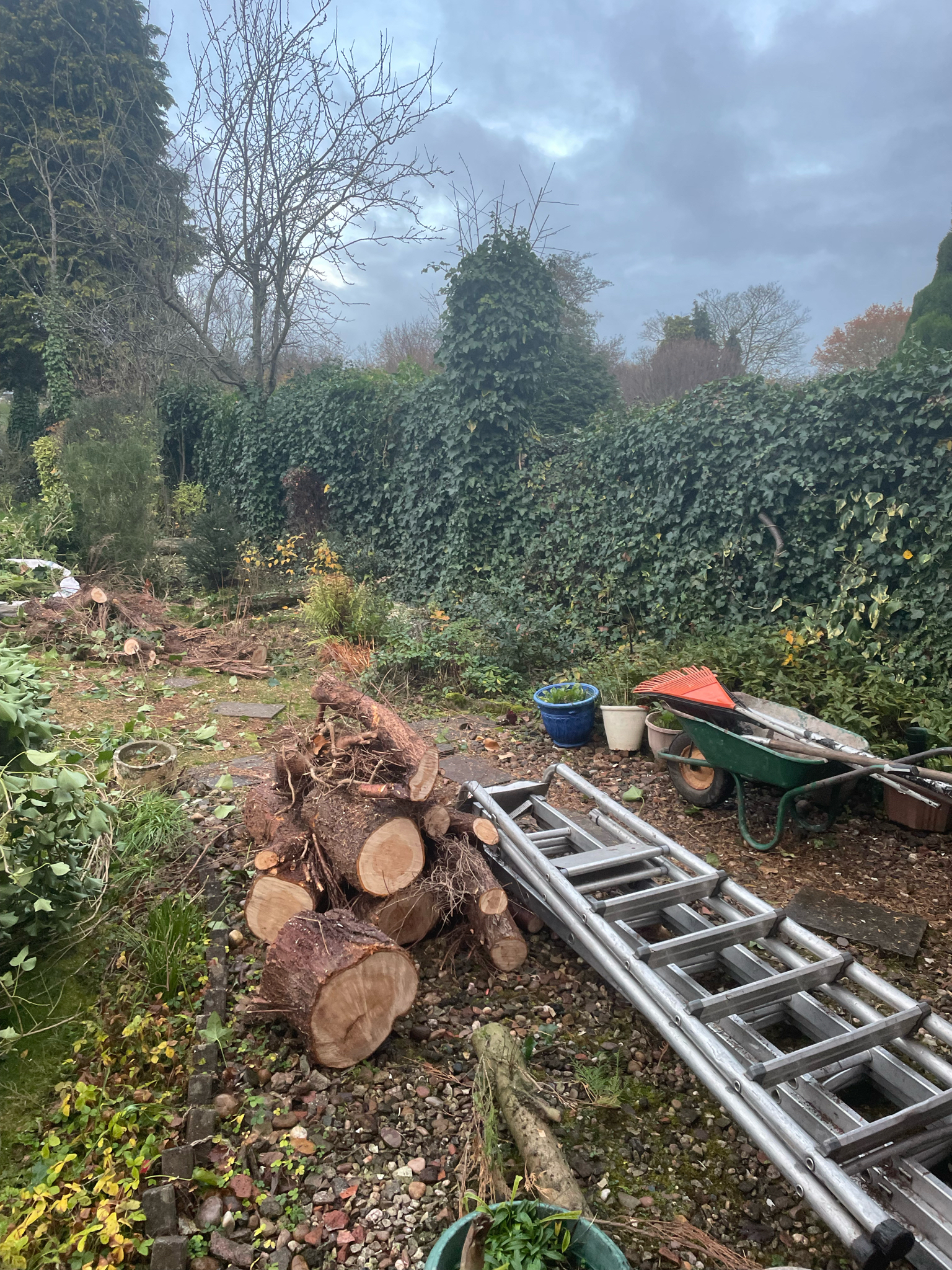 Jason Smith Landscapes work photo 3