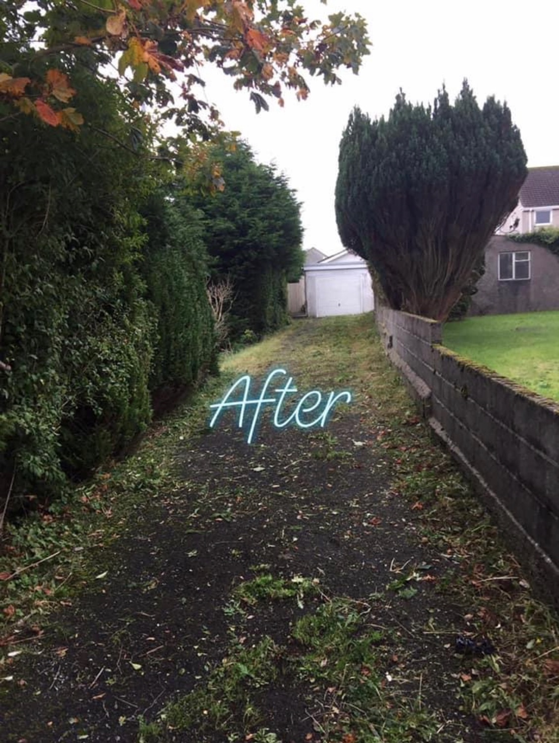 J & M Landscaping work photo 2