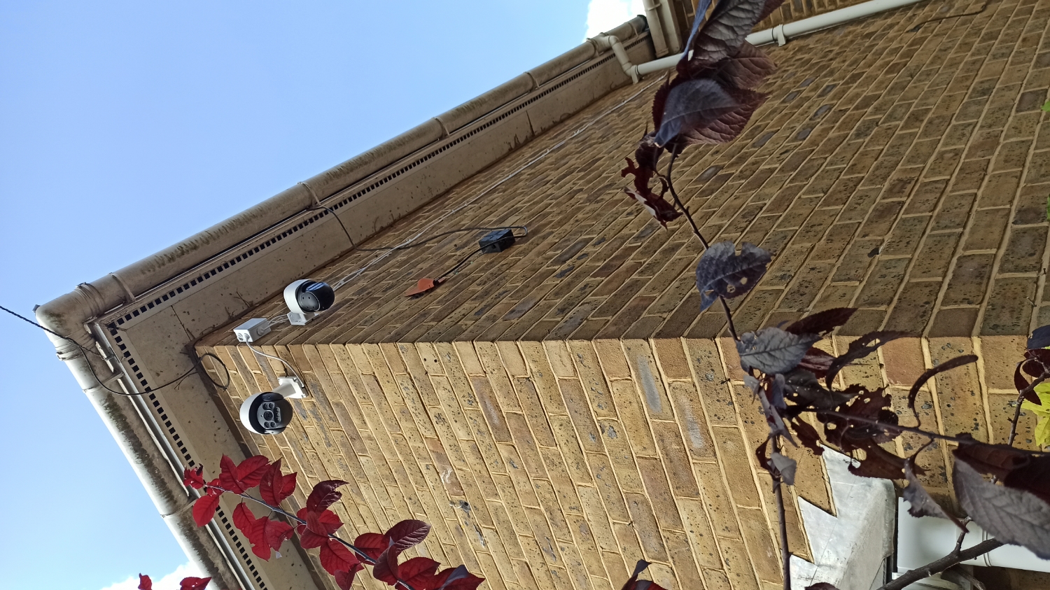 HelloNet work photo 2