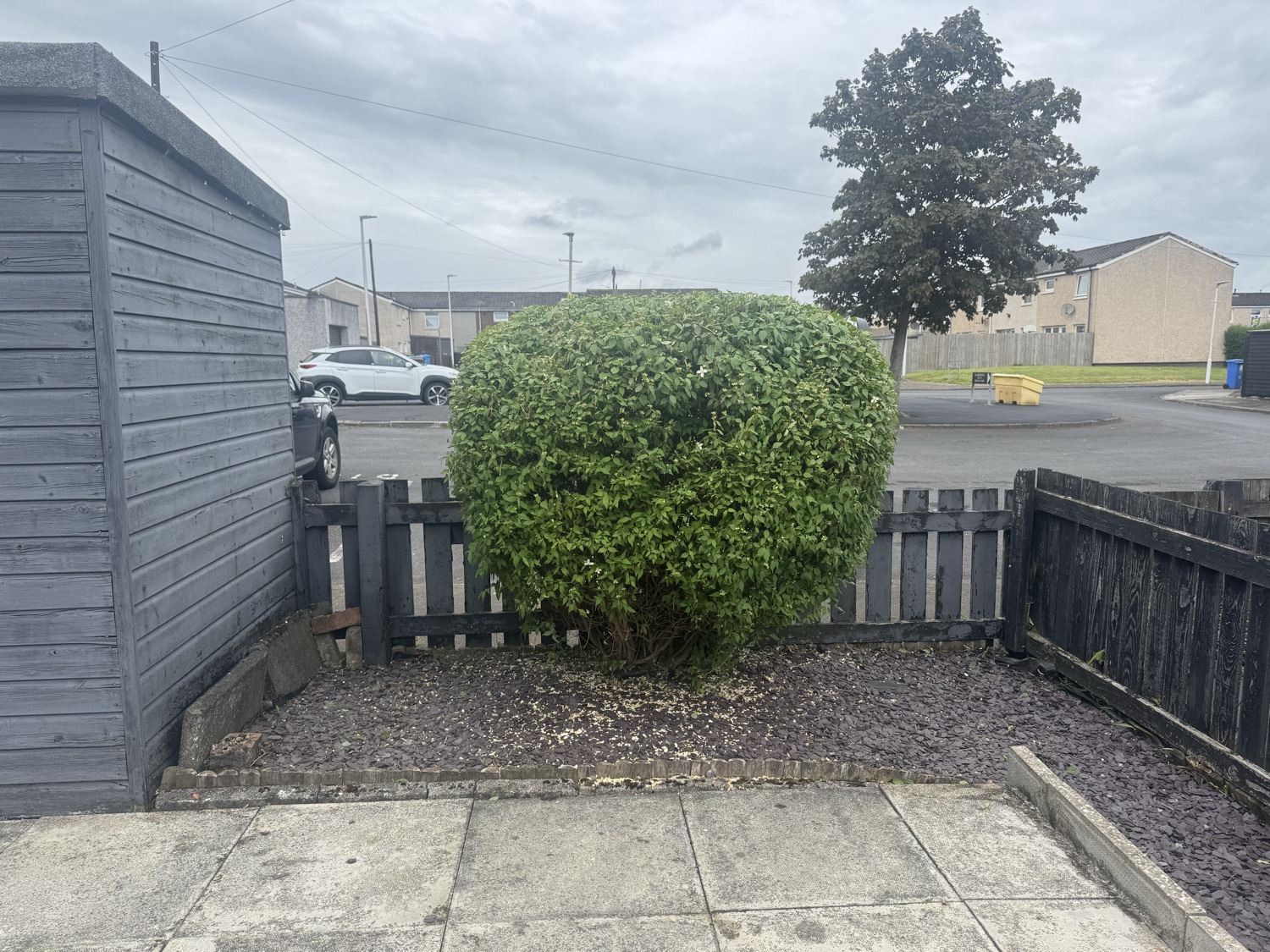 Forth Lawn & Hedges work photo 4