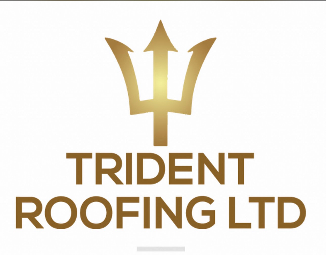 TRIDENT ROOFING LTD work photo 4