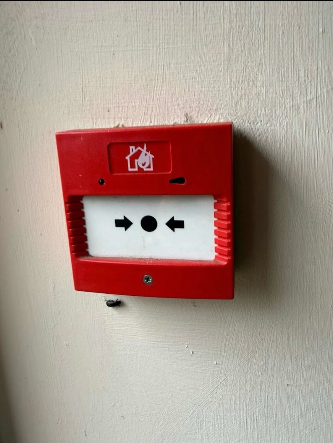 Squires Electrical & Security Ltd. work photo 3