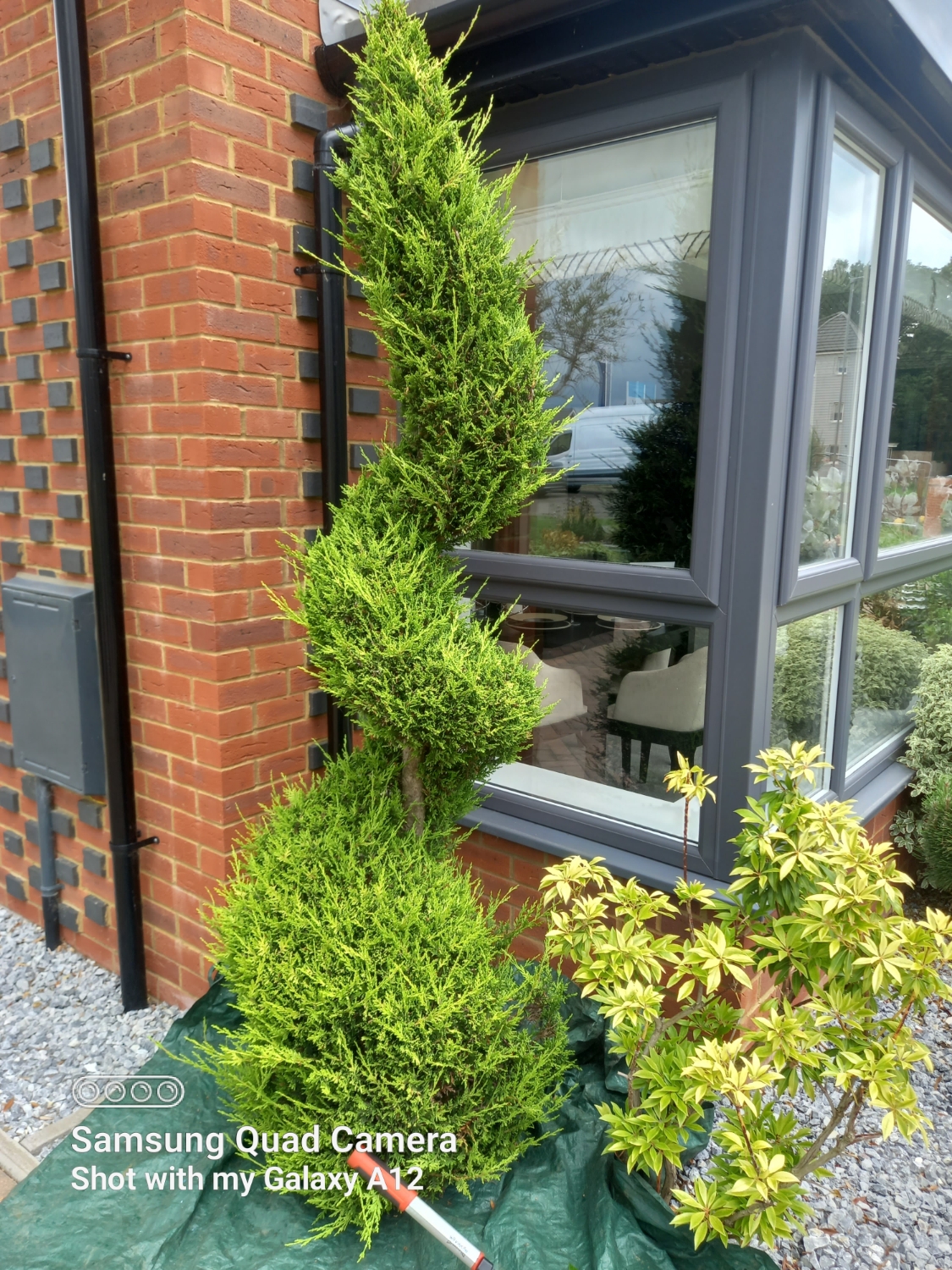 Ben's Garden Services work photo 1