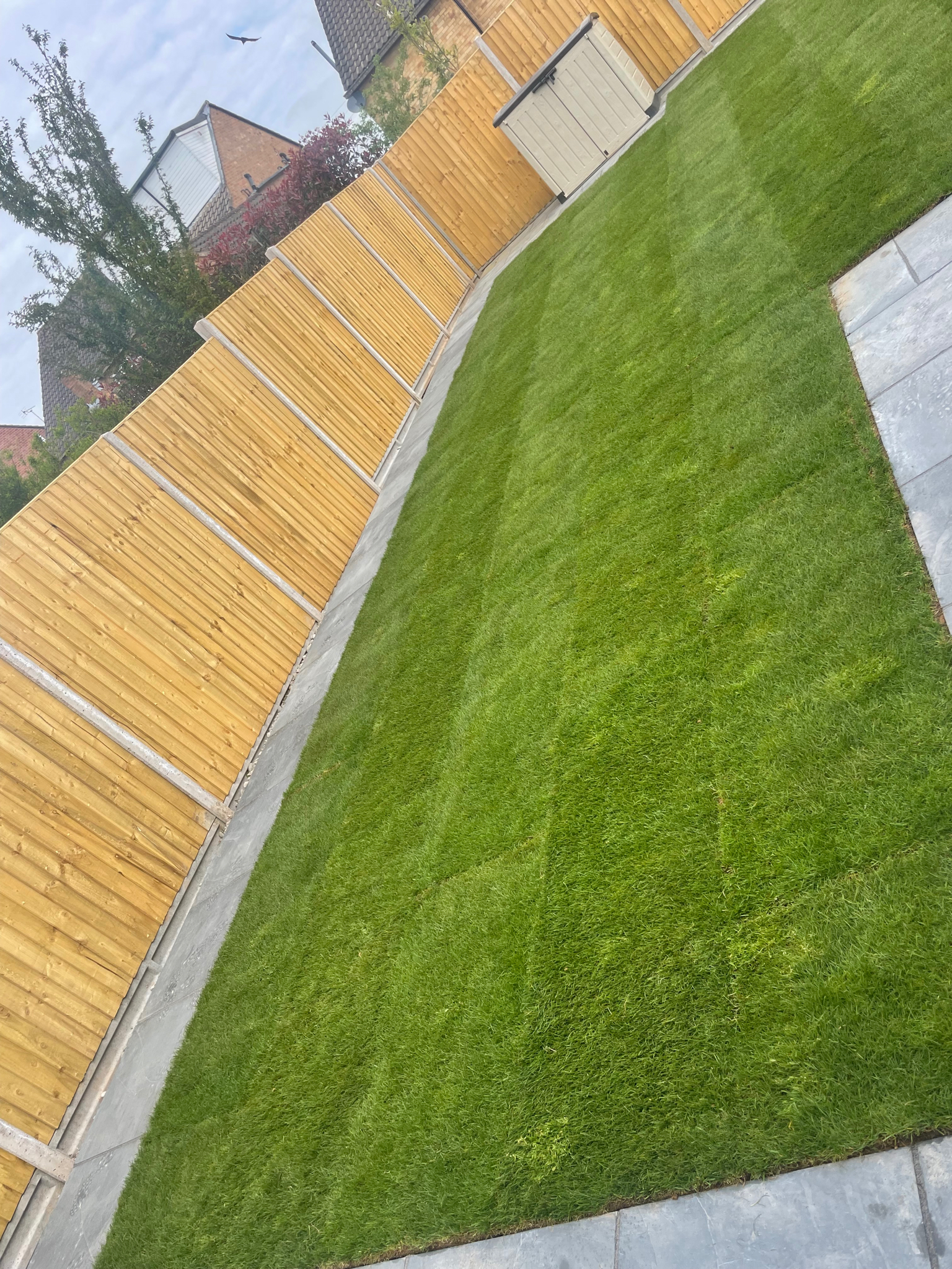 S WINGROVE GARDENING & LANDSCAPES work photo 1