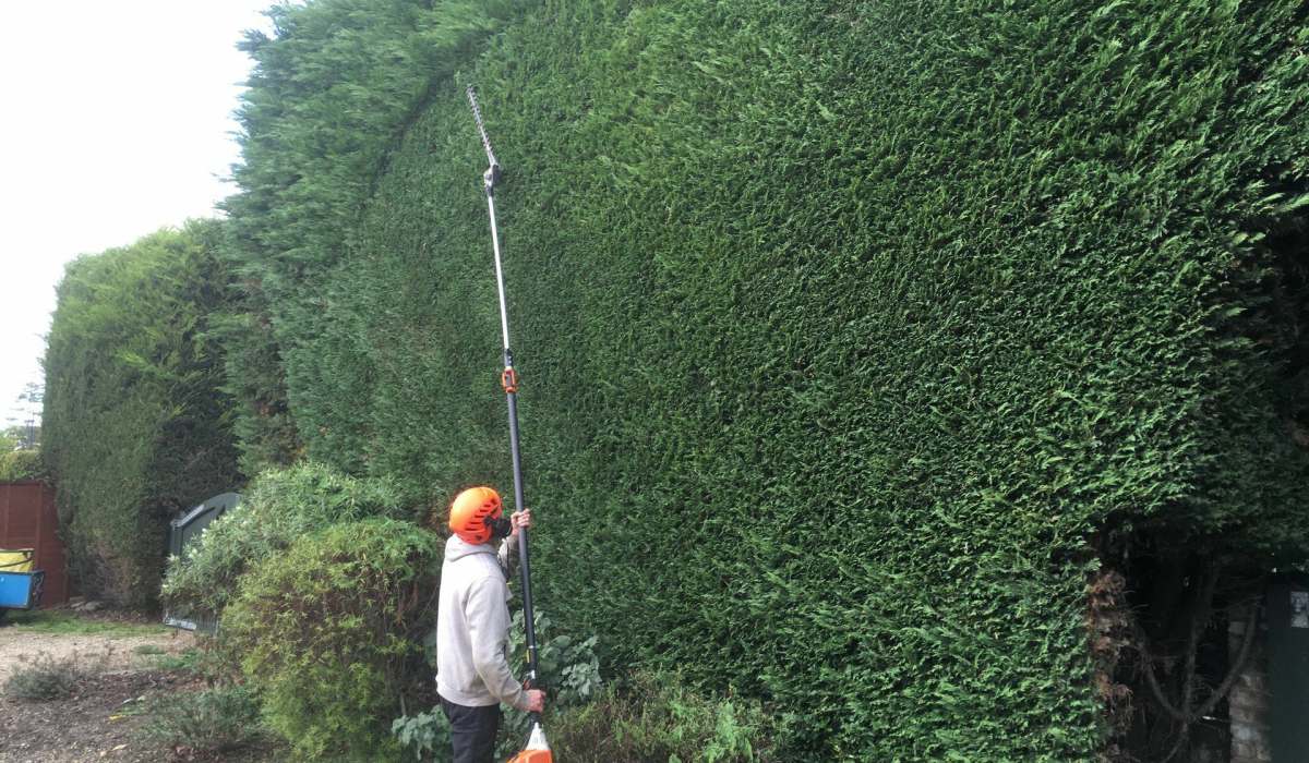 ECO TREE CARE EAST LTD work photo 4