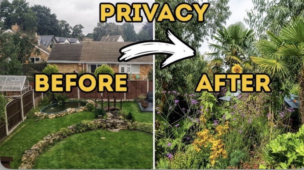 All season Garden Care work photo 4