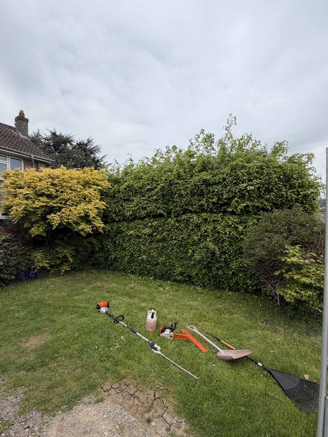 K Lee Stags Tree Specialists work photo 3