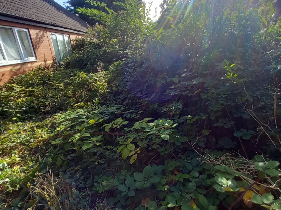 DA Gardening Services work photo 5