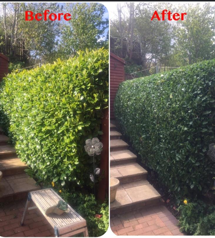 Leitrim Fencing & Landscaping work photo 1