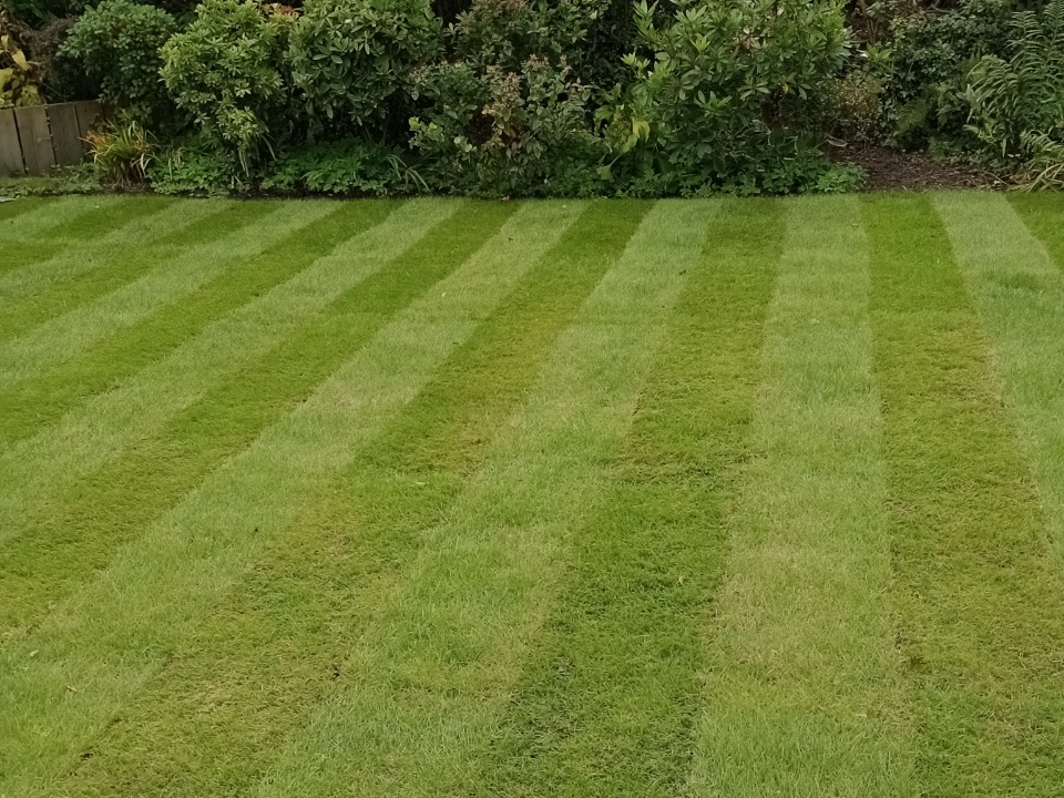 Daisychain Landscaping Ltd work photo 3