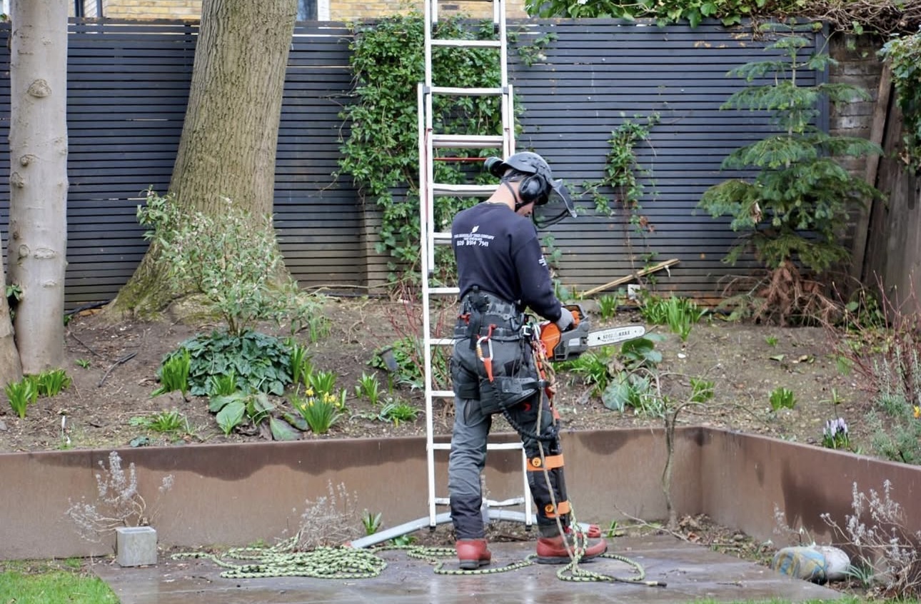Robert Tree Solution work photo 4