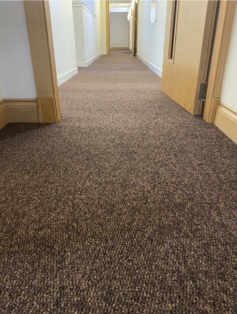 StapleCarpets work photo 2