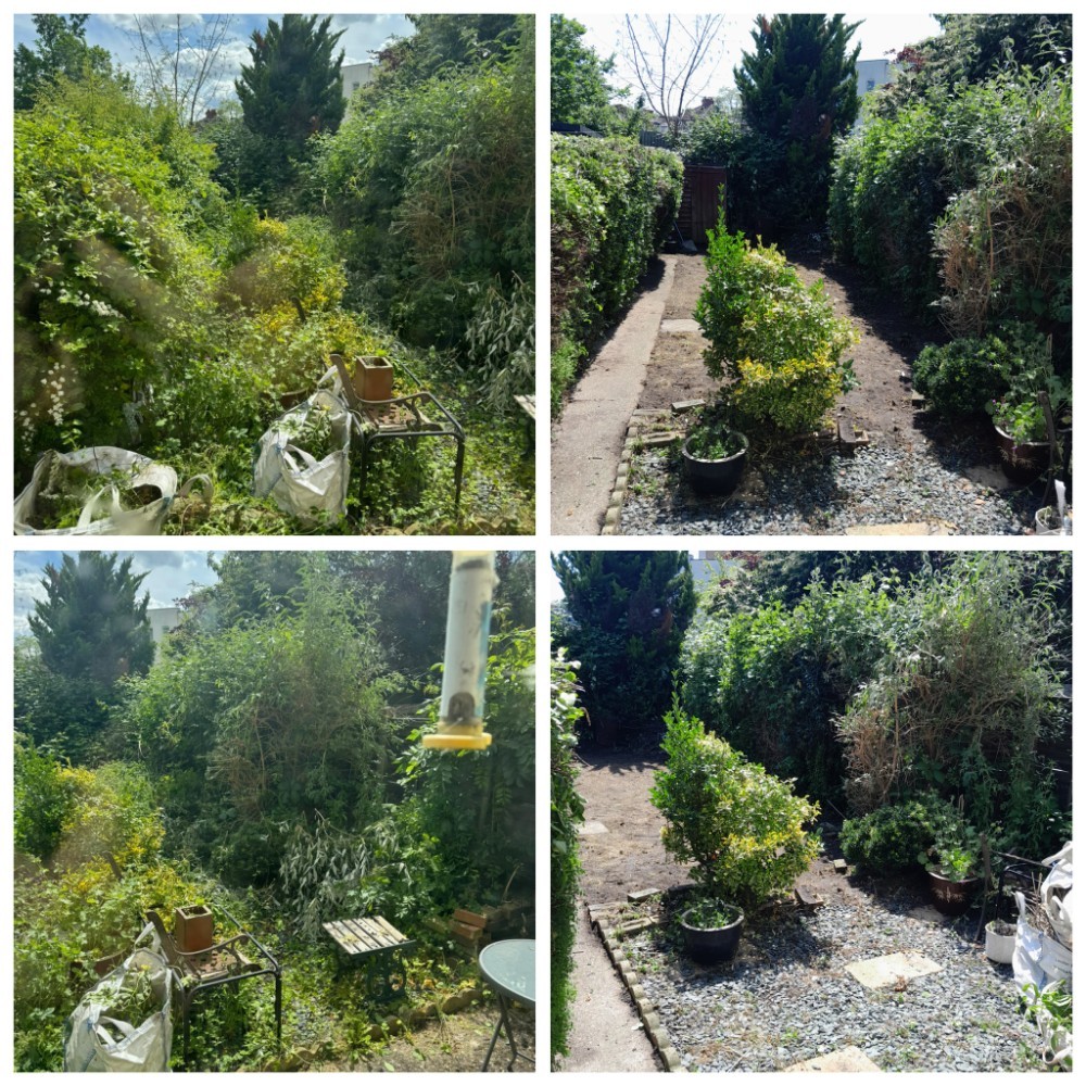 Green Lifes work photo 1