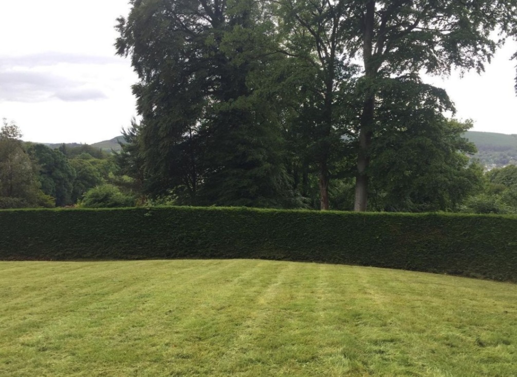 Legacy Landscape Gardens work photo 1
