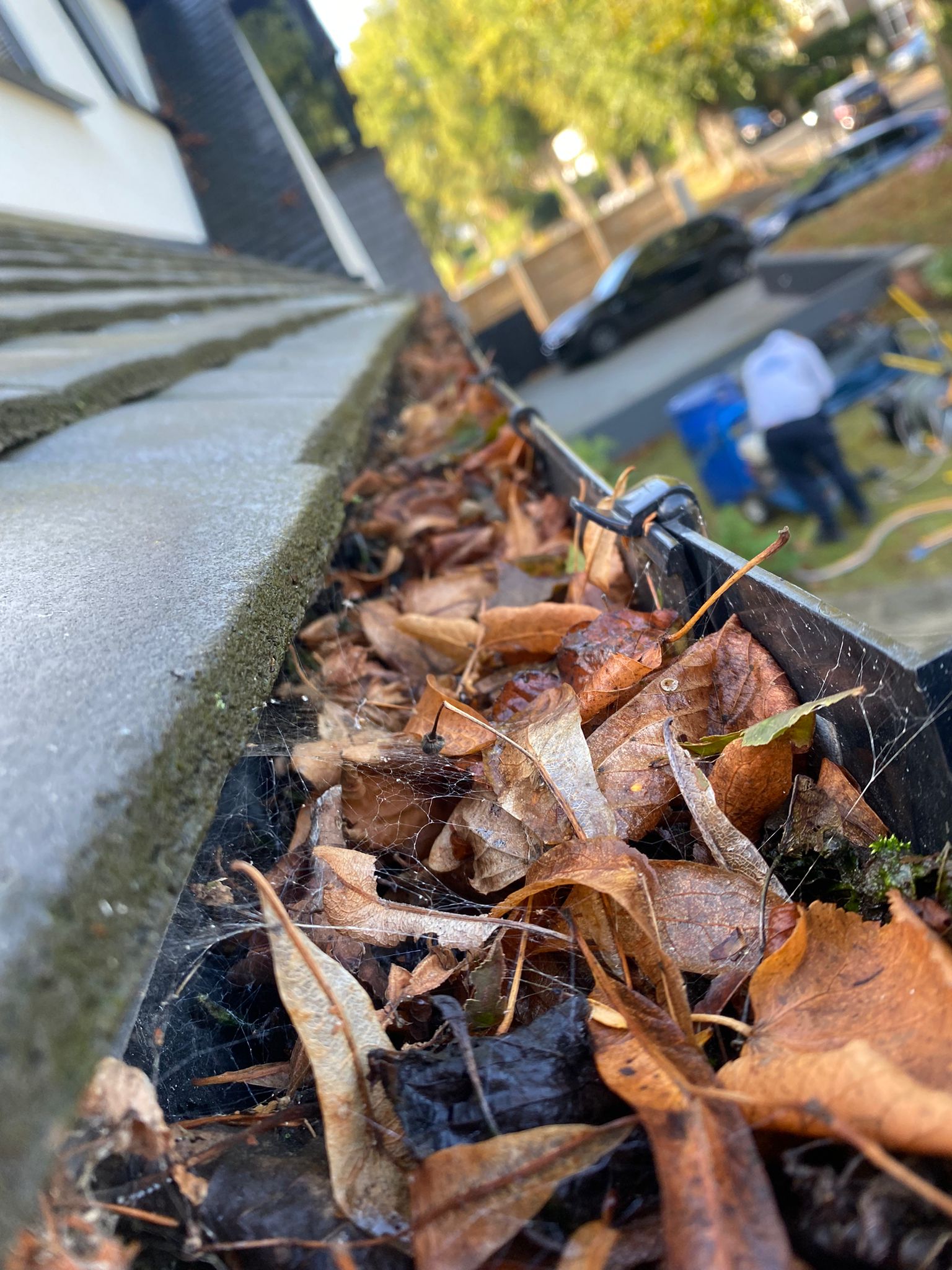 LBS Pressure Washing & Roof Cleaning work photo 2