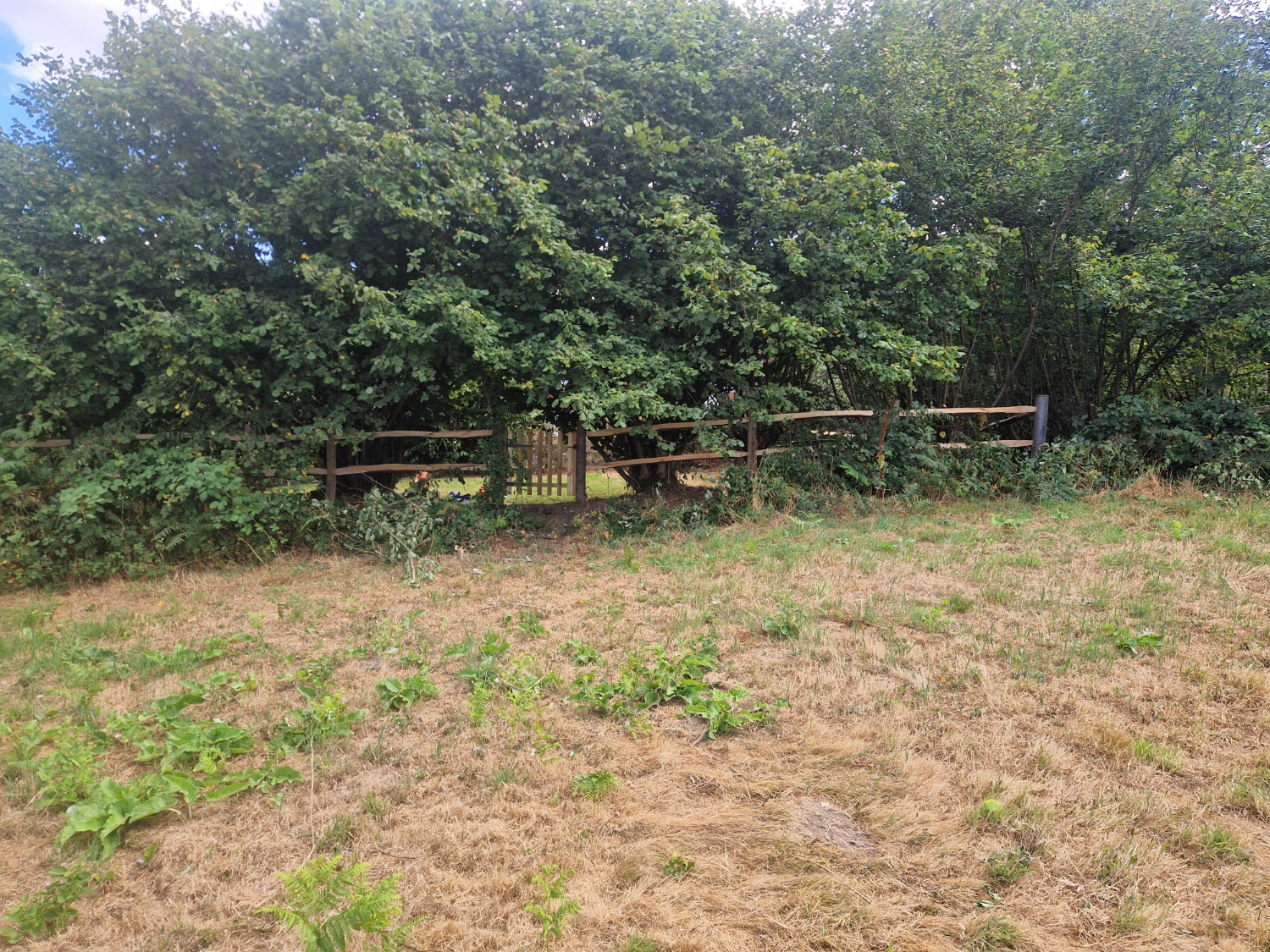 Handsome Homes and Gardens work photo 3