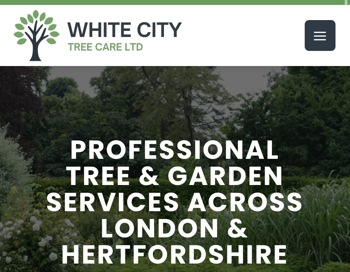 White City Tree Care LTD work photo 1