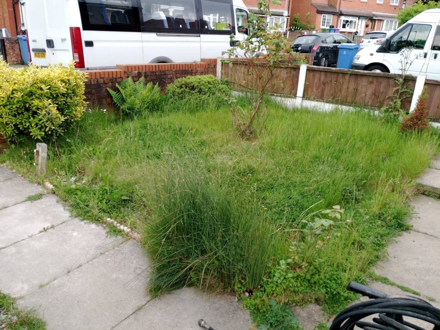 JP Gardening & Tree Care work photo 3