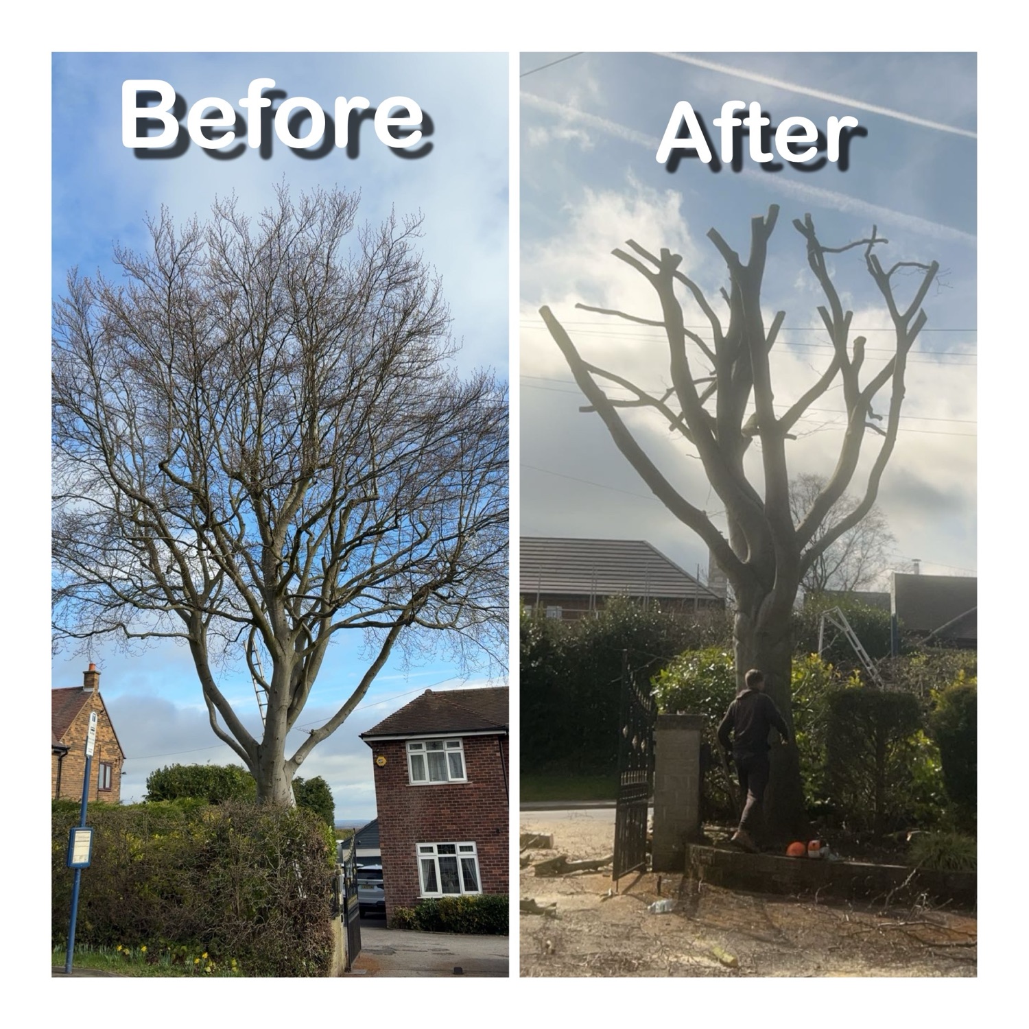 Country Cuts Gardening & Tree Care work photo 2