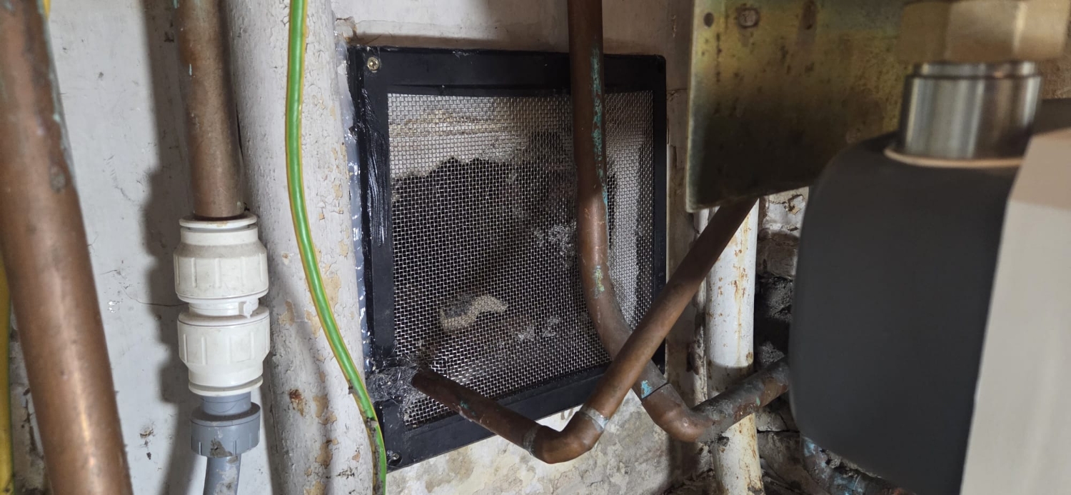 GLENGALL PEST CONTROL SERVICES LTD work photo 4