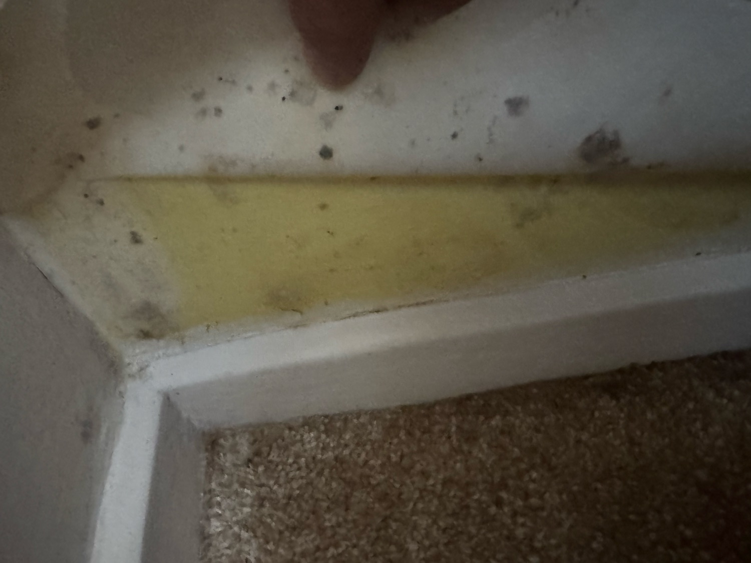Pegasus stone LTD work photo 1