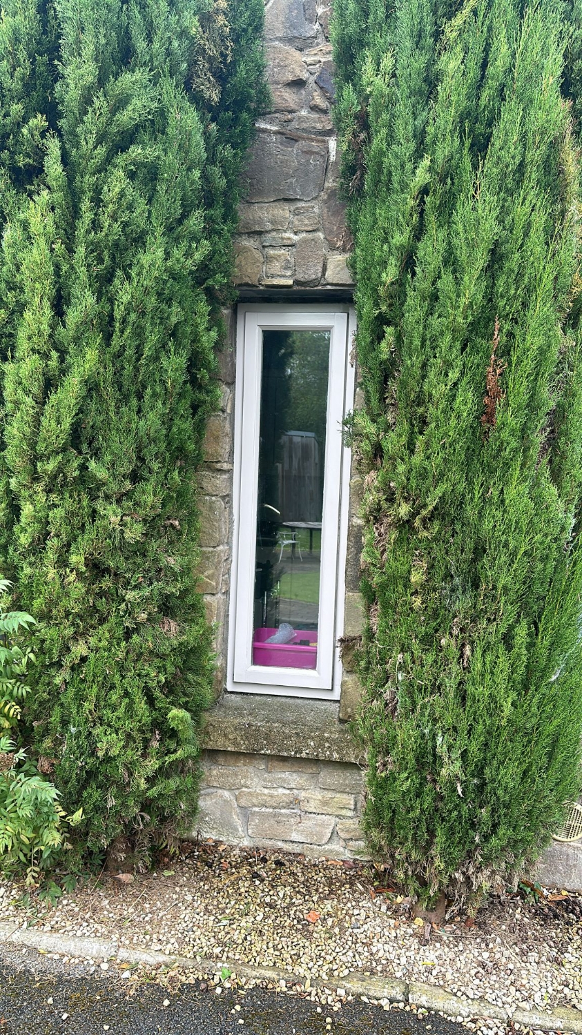 Miracle Paint work photo 3