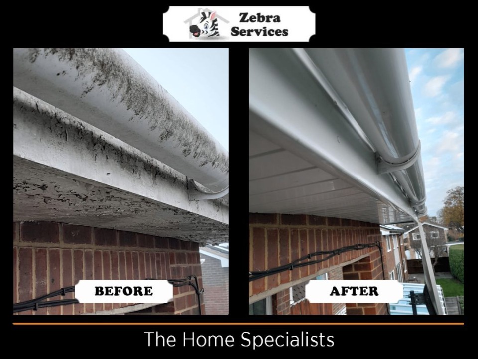 Zebra Services LTD work photo 1