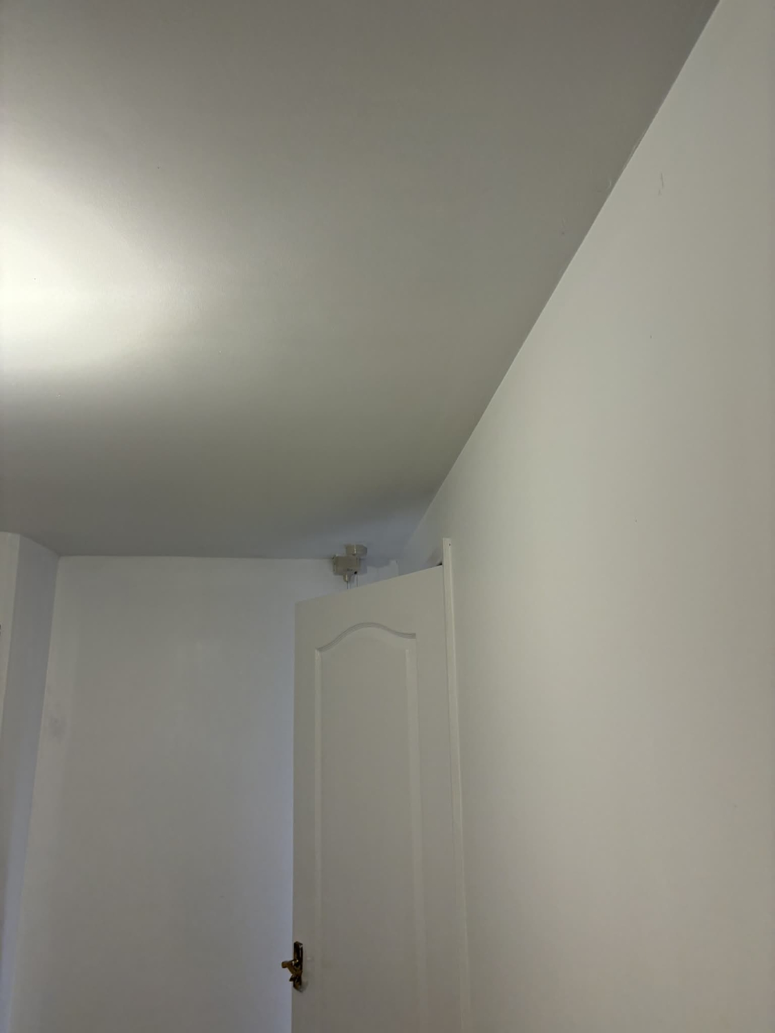 Springfield decorators work photo 2