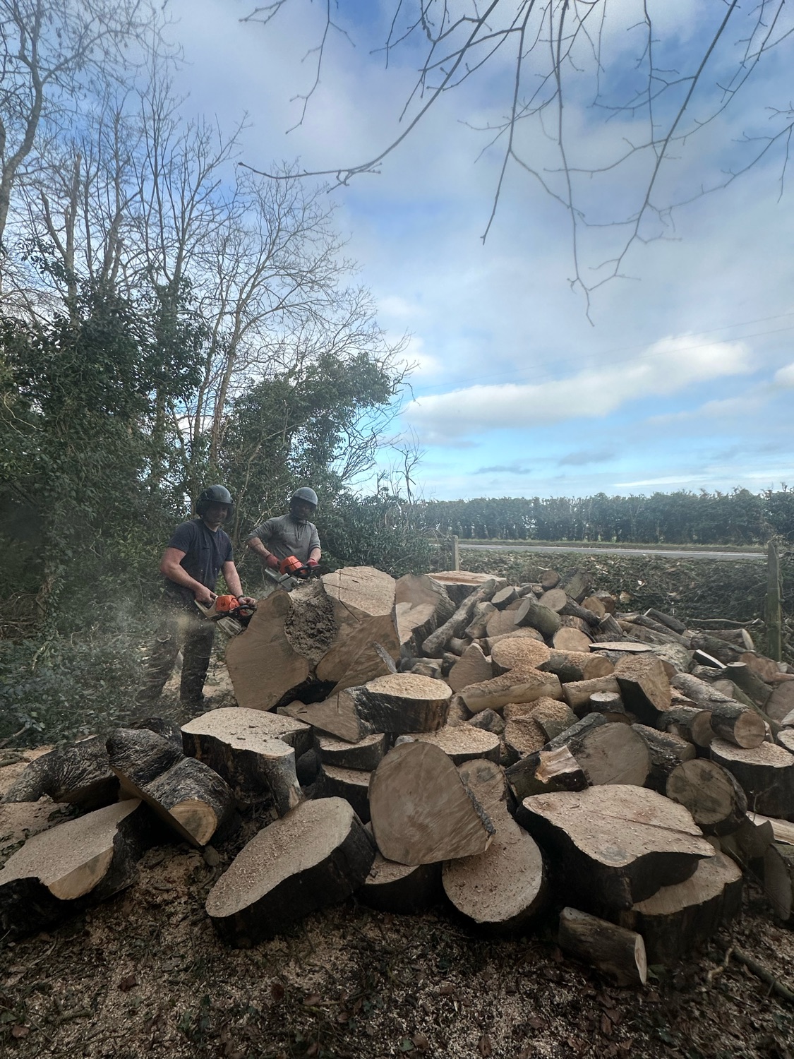 Tohunga Tree Services work photo 4