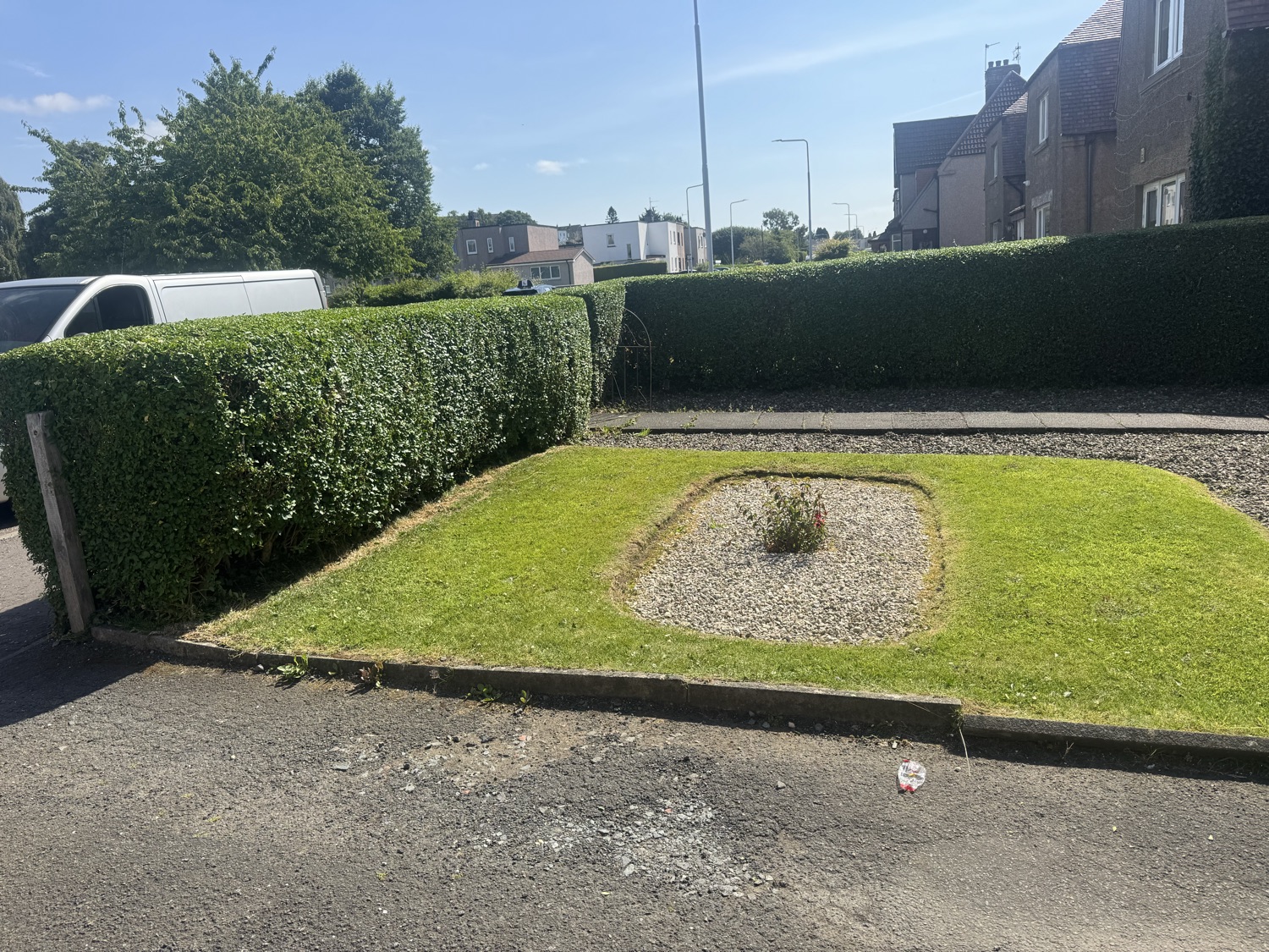 Forth Lawn & Hedges work photo 2