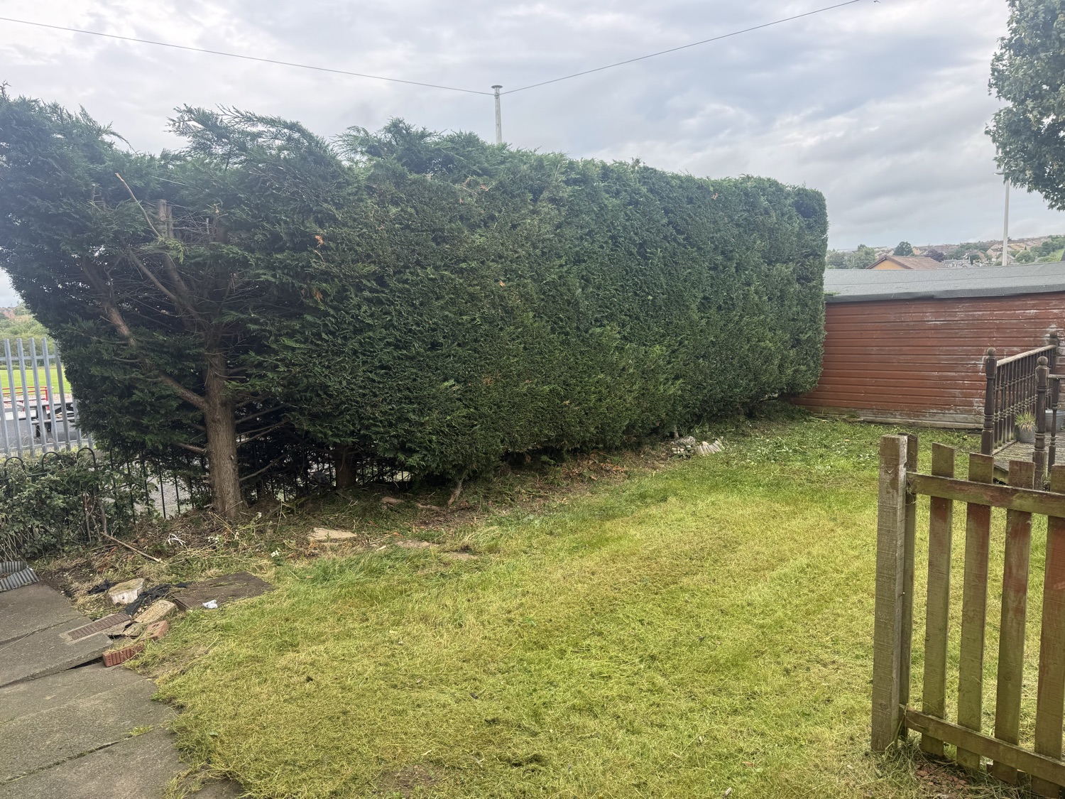 Forth Lawn & Hedges work photo 1