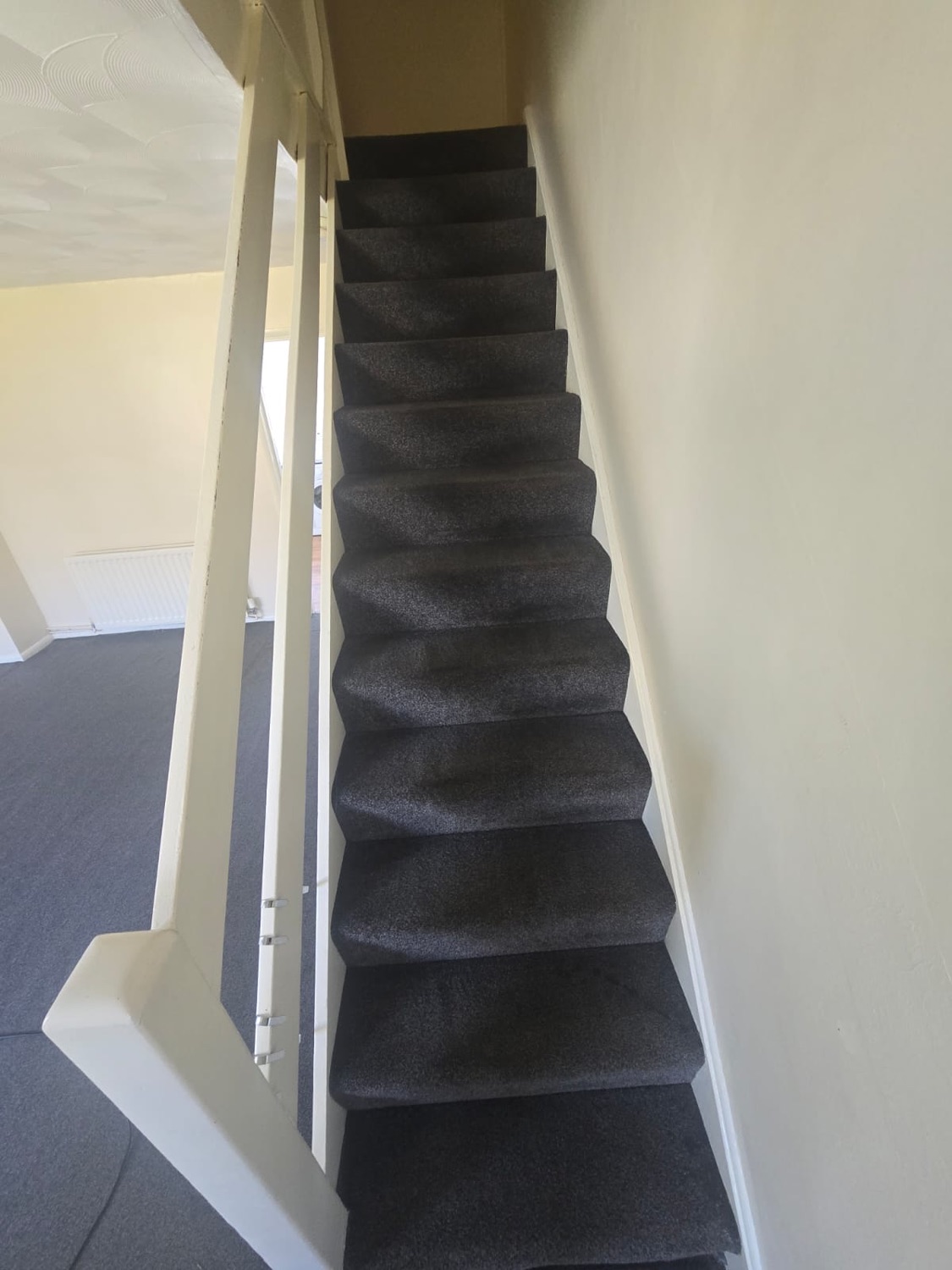 The Italian Mop work photo 2