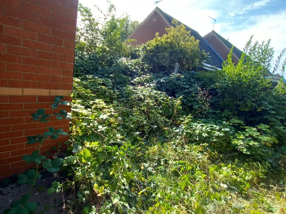 DA Gardening Services work photo 4