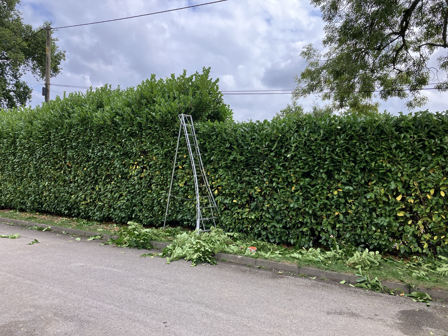 EH Landscaping & Tree Services work photo 1